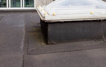 disadvantages of Trehafod flat roofs